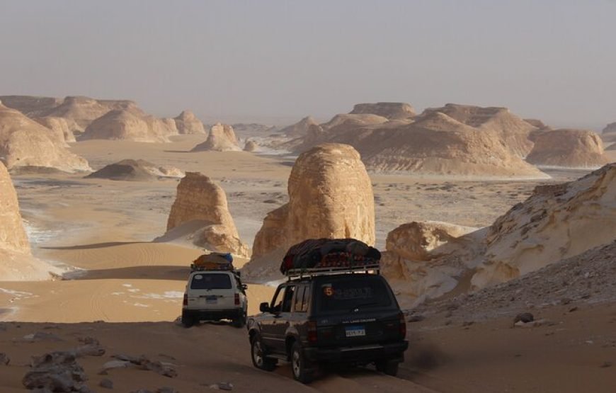 2 Days tour Black and white desert
