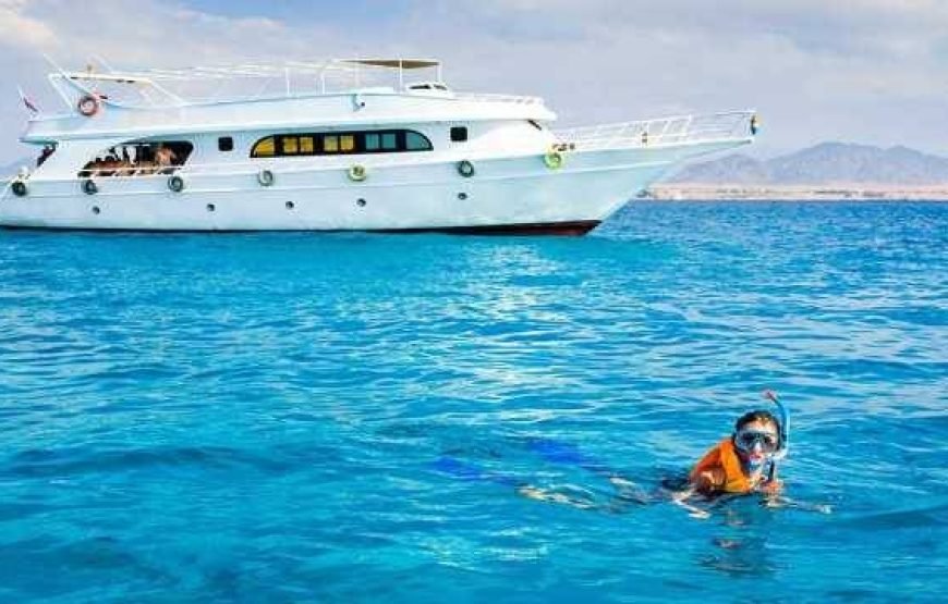 Boat trip& white island