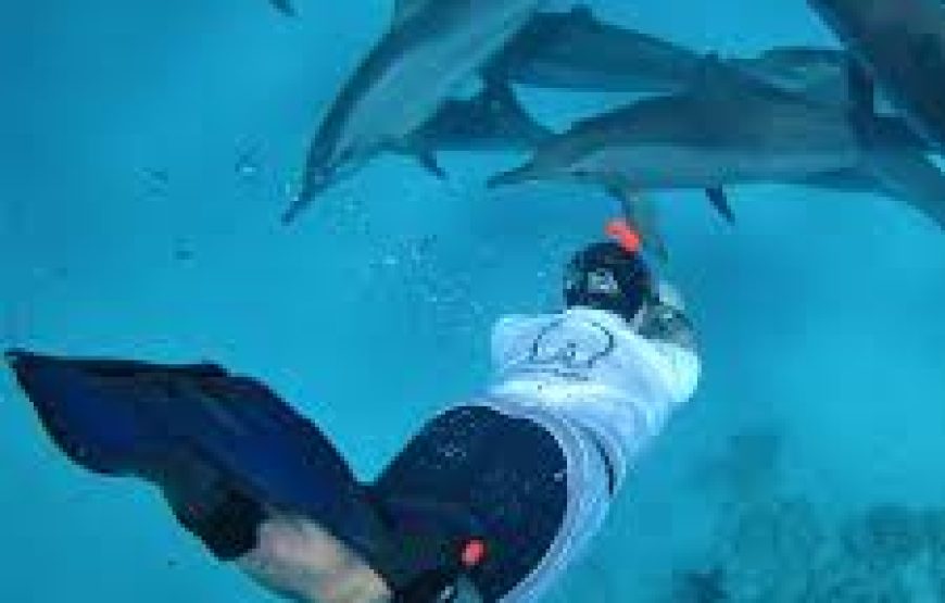 Hurghada: 6 Islands Tour With Dolphin Watching & Snorkeling
