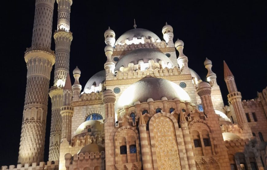 City Tour with Al Mustafa Mosque