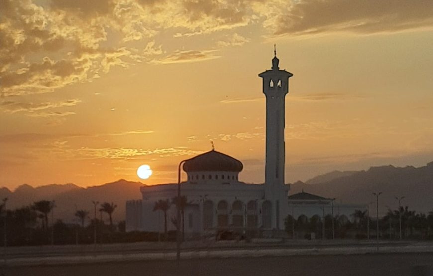 City Tour with Al Mustafa Mosque