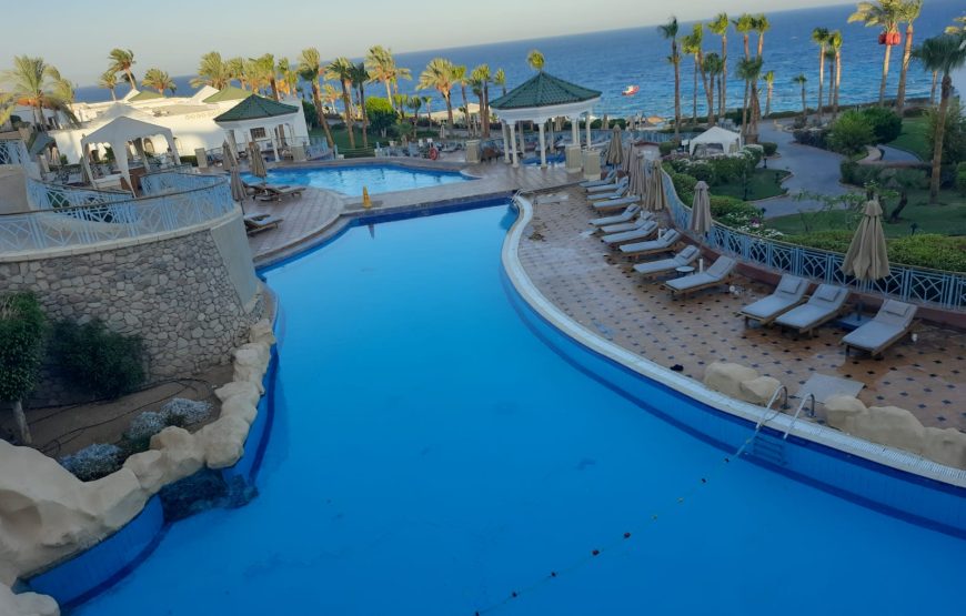 City Tour with Al Mustafa Mosque