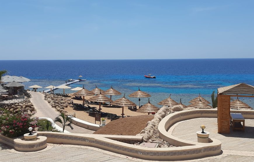 City Tour with Al Mustafa Mosque