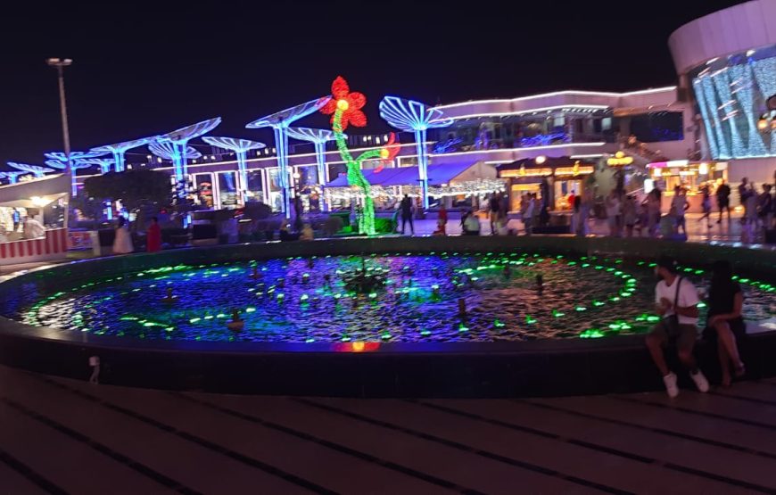 City Tour with Al Mustafa Mosque