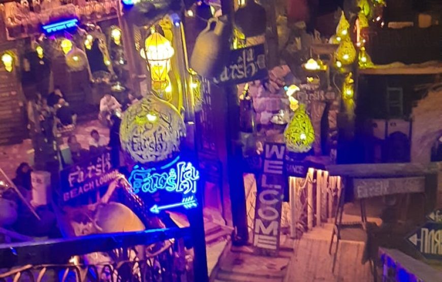 City Tour with Al Mustafa Mosque