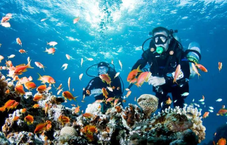 Blue Hole & Dahab walking along sea side Experience