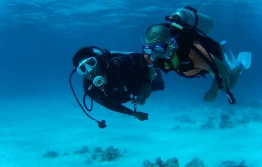Blue Hole & Dahab walking along sea side Experience