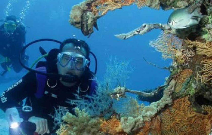 Blue Hole & Dahab walking along sea side Experience
