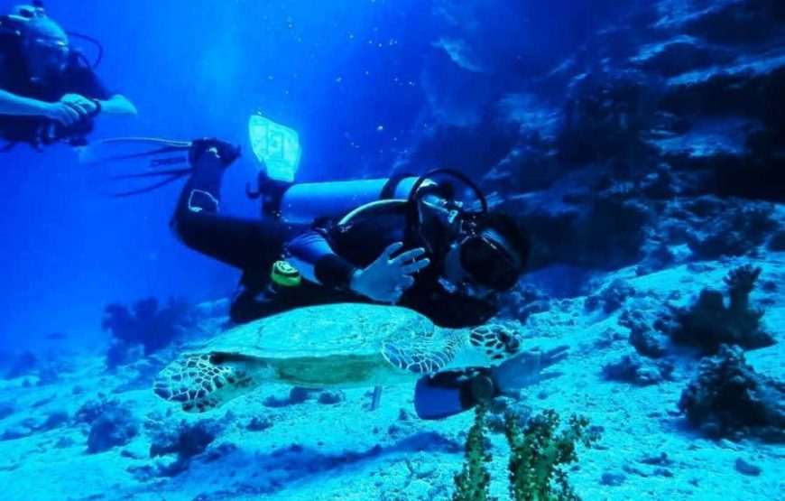 Blue Hole & Dahab walking along sea side Experience