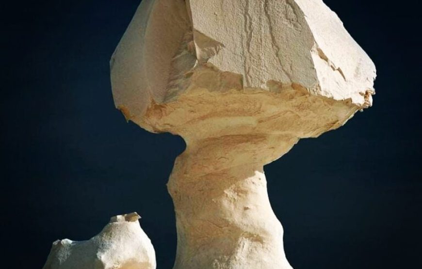 2 Days tour to white desert
