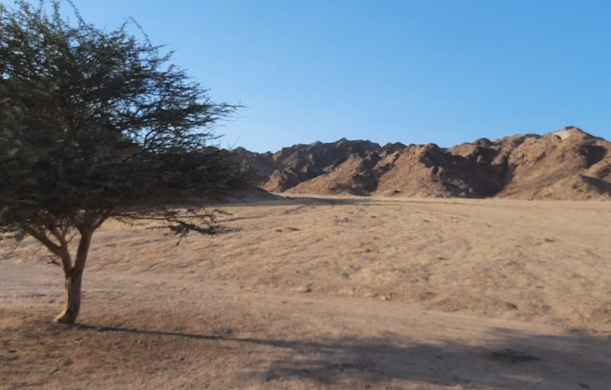 Ras Mohamed Sharm Elsheikh