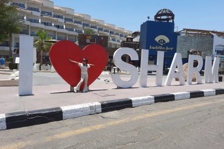 City Tour with Al Mustafa Mosque