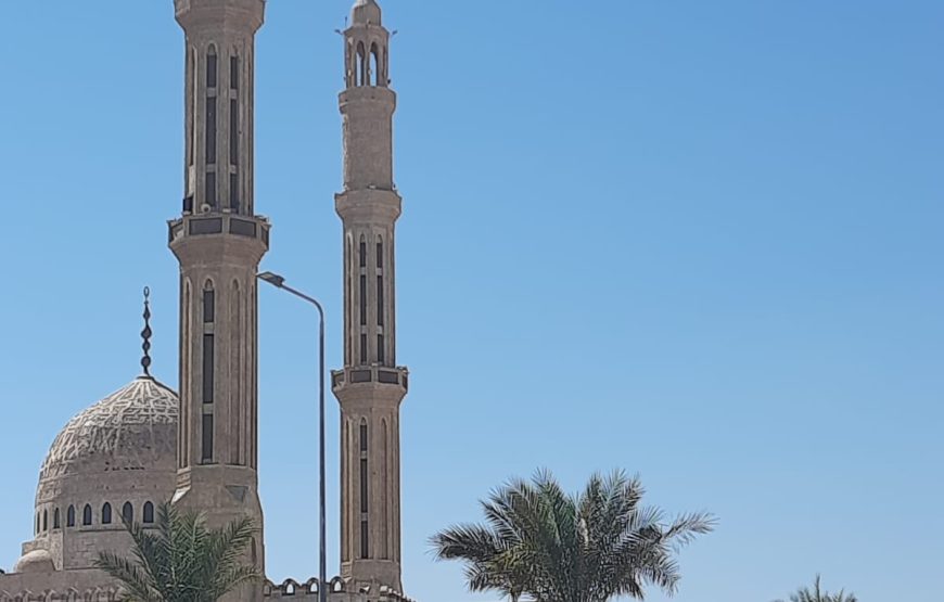 City Tour with Al Mustafa Mosque