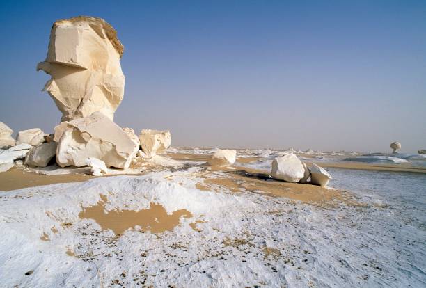 2 Days tour to white desert