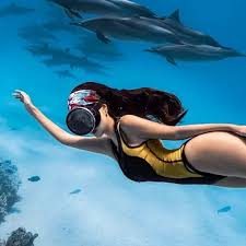 Hurghada: 6 Islands Tour With Dolphin Watching & Snorkeling