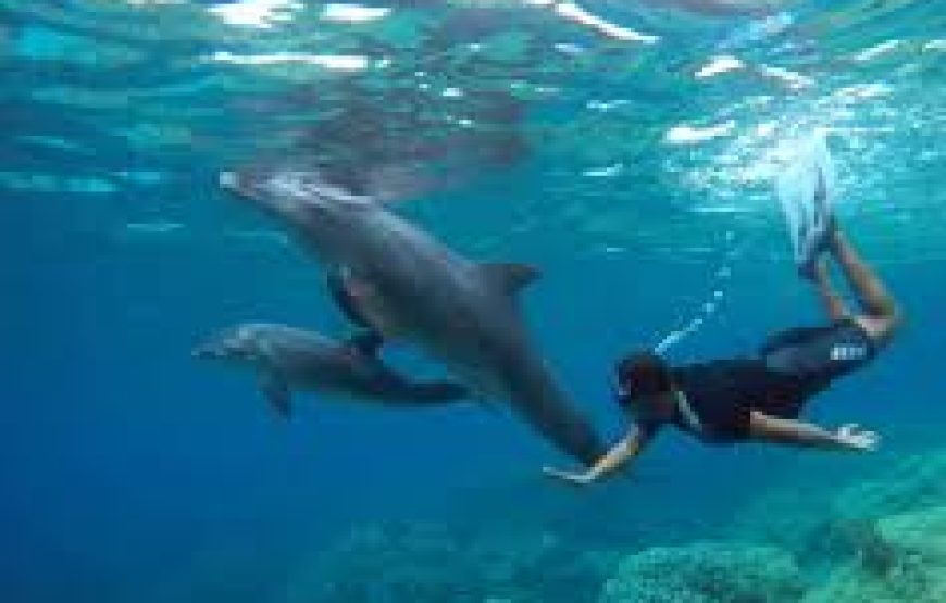 Hurghada: 6 Islands Tour With Dolphin Watching & Snorkeling