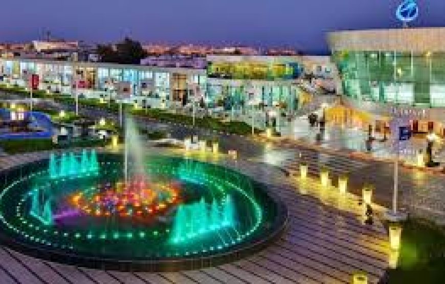 City Tour with Al Mustafa Mosque