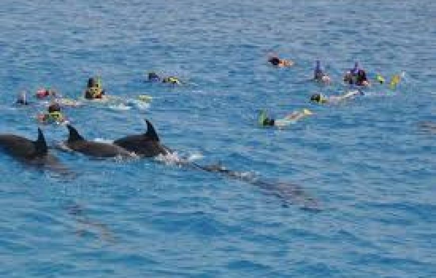 Hurghada: 6 Islands Tour With Dolphin Watching & Snorkeling