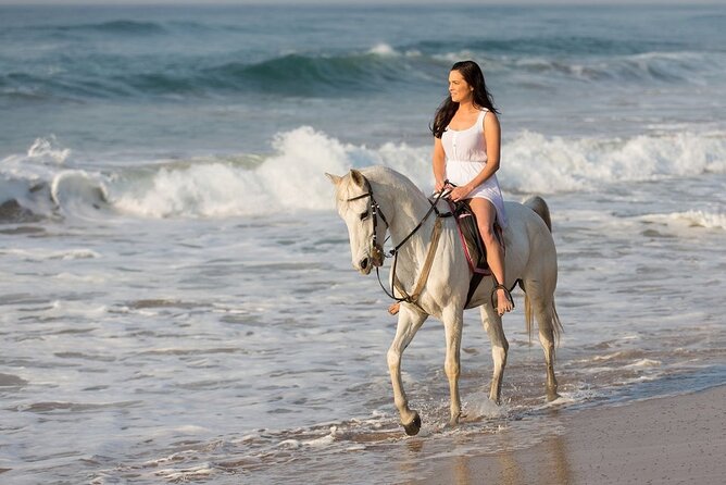Horseback Riding with Pickup and Drop-off from Sharm El Sheikh