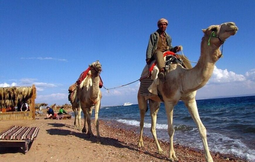 Blue Hole & Dahab walking along sea side Experience