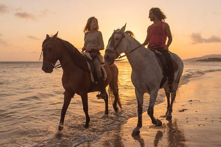 Beach Horseback Riding Experience