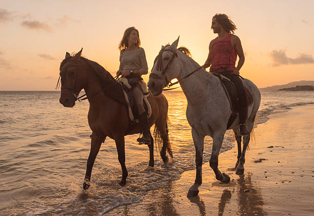 Beach Horseback Riding Experience