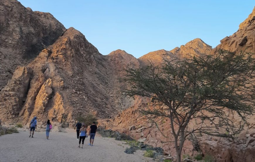 Mini safari by jeep da 4×4