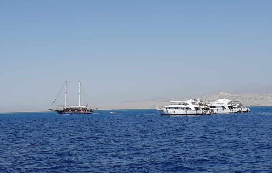 Boat trip& white island