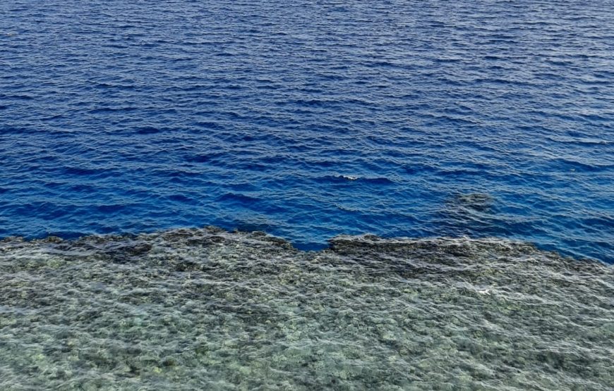 Boat trip& white island