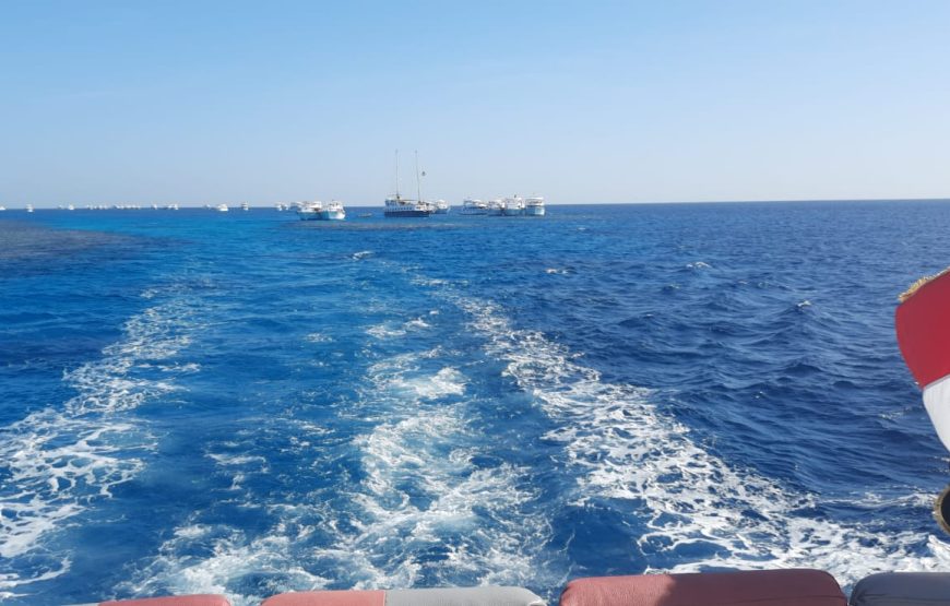 Boat trip& white island