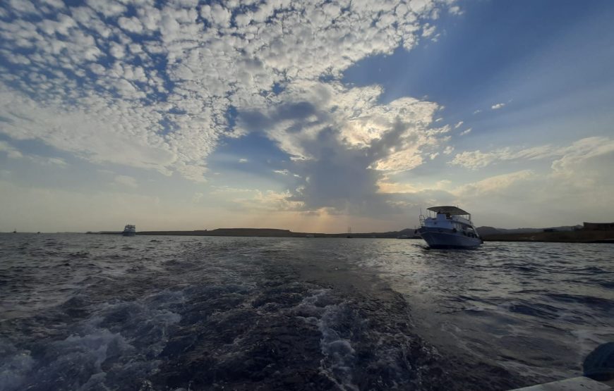 Boat trip& white island
