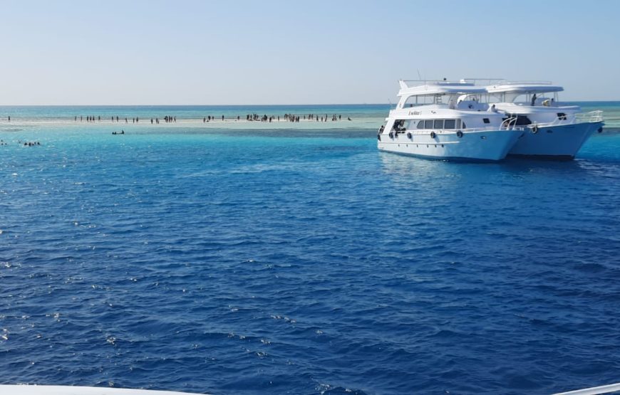 Boat trip& white island