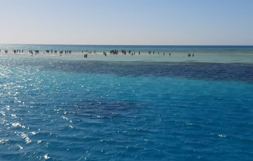 Boat trip& white island