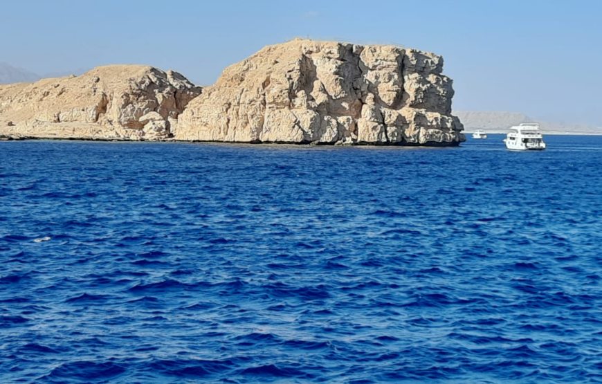 Boat trip& white island