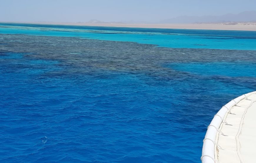 Boat trip& white island