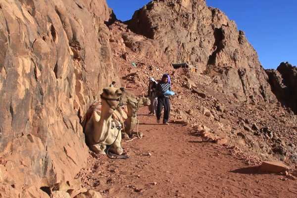 Mount Sinai Sunrise Climb from Sharm El Sheikh