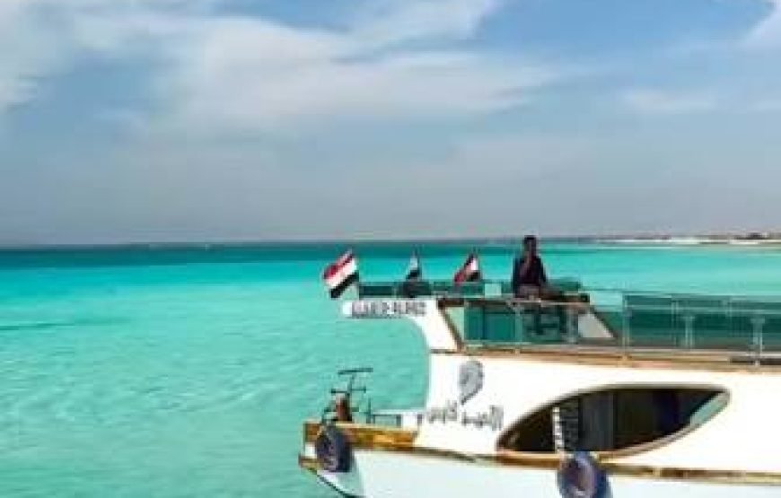 Boat trip& white island