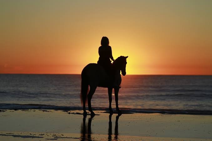 Beach Horseback Riding Experience