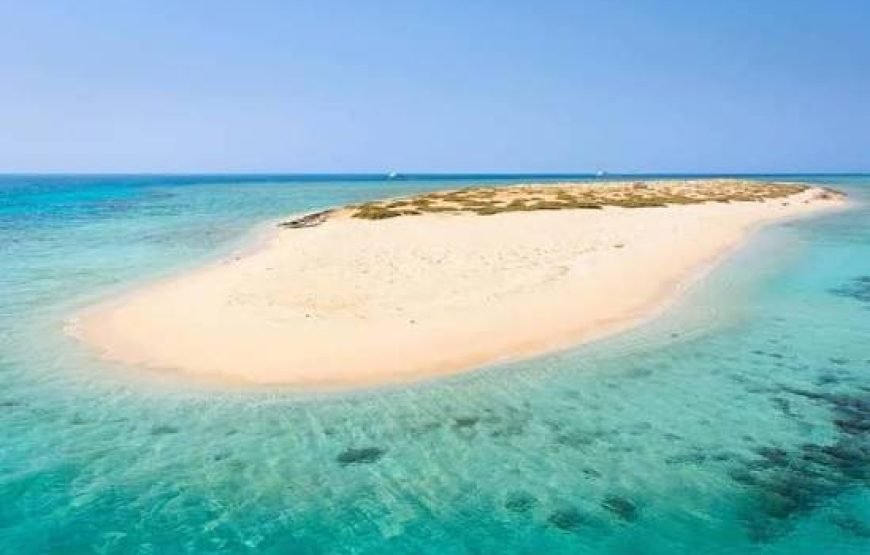 Boat trip& white island
