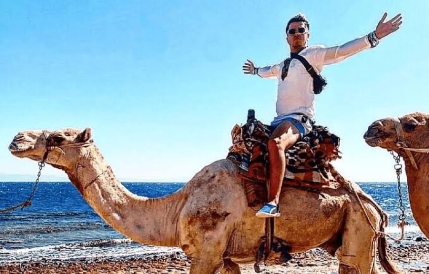 Discovery Dahab 5-in-1 Tour
