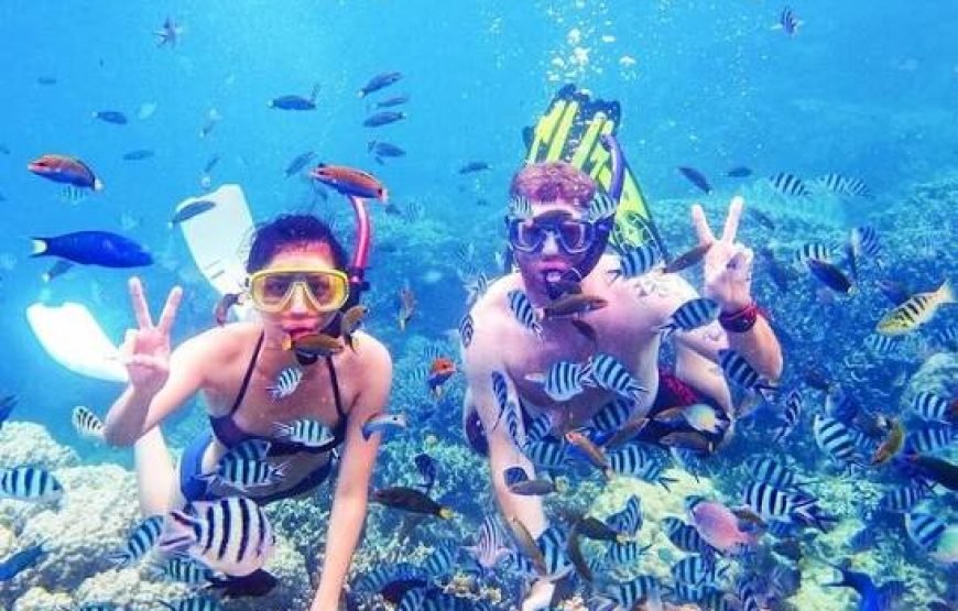 Snorkeling Trip  Sharm Elsheikh