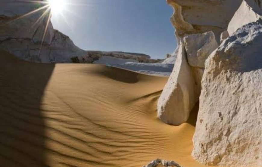 2 Days tour Black and white desert