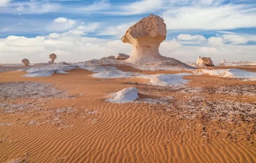 2 Days tour Black and white desert