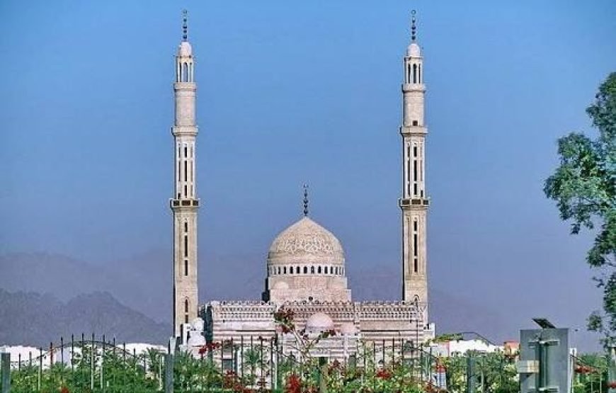 City Tour with Al Mustafa Mosque