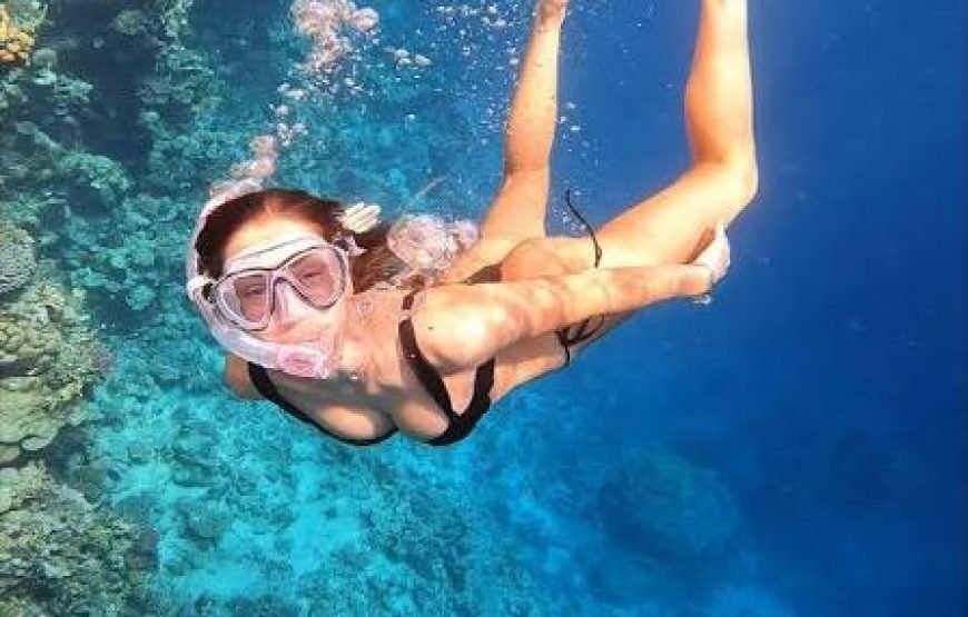Snorkeling Trip  Sharm Elsheikh