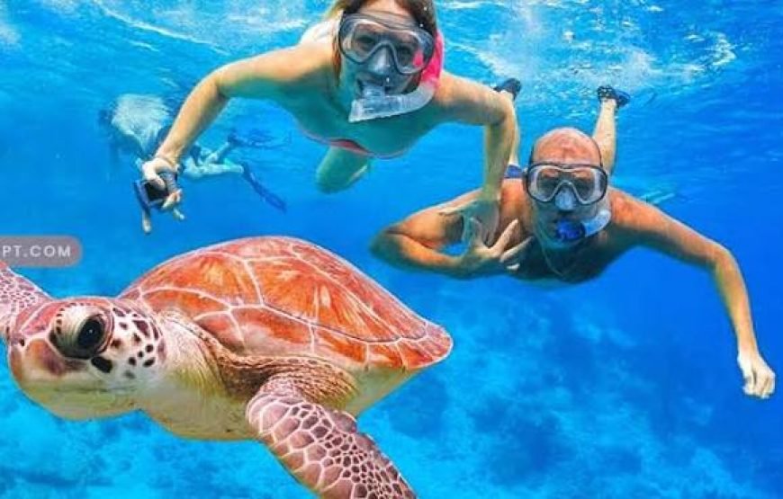 Snorkeling Trip  Sharm Elsheikh