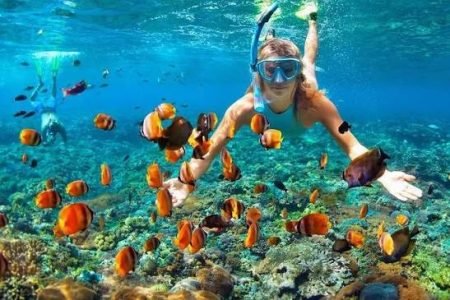 Snorkeling Trip  Sharm Elsheikh