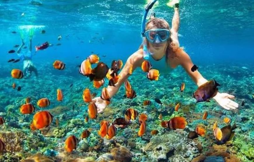 Snorkeling Trip  Sharm Elsheikh