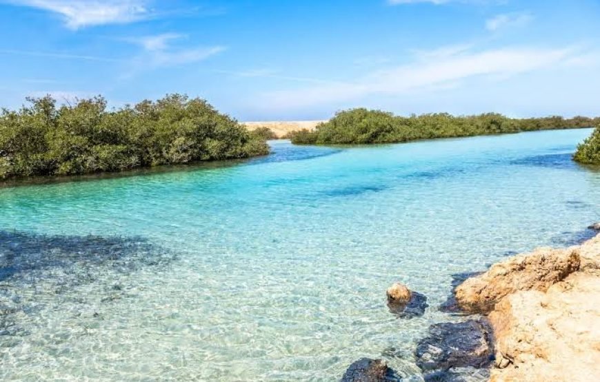 Ras Mohamed Sharm Elsheikh