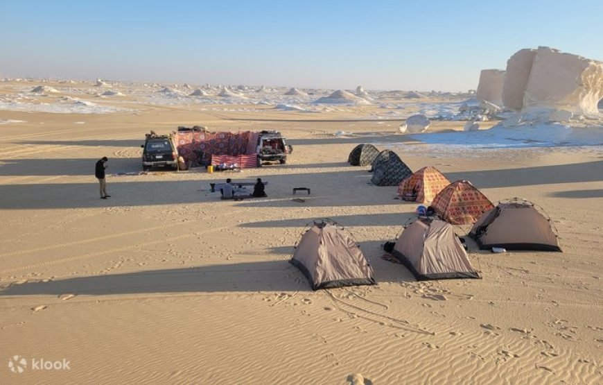2 Days tour Black and white desert